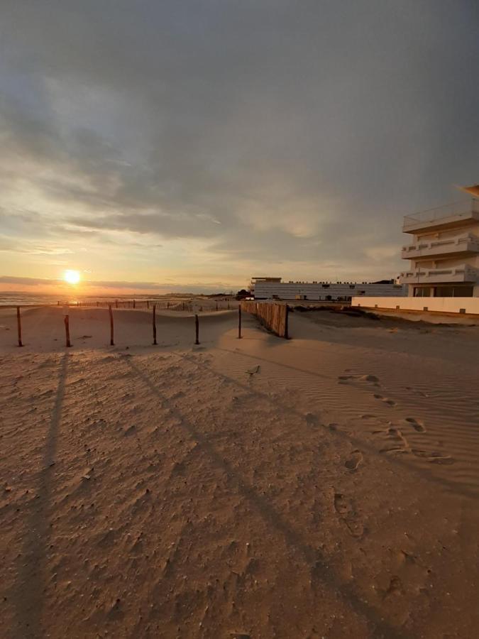 T2-3 Cabine Les Yuccas 200 M Plage Du Boucanet Rive Droite Grau Du Roi Ideal 2-4 Pers Le Grau-du-Roi Exteriér fotografie